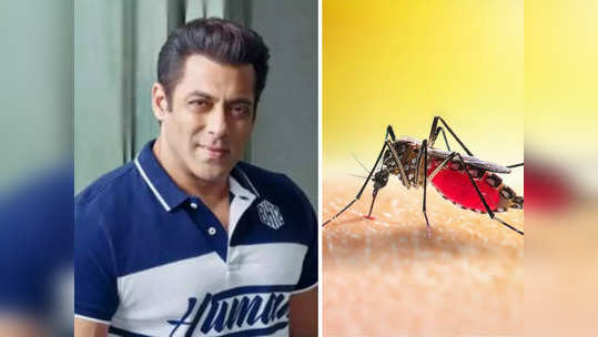 Salman Khan Dengue : बापरे ! सलमान खानला डेंग्यु, Bigg Boss मधून घेणार ब्रेक, अशी काळजी घेणे आवश्यक