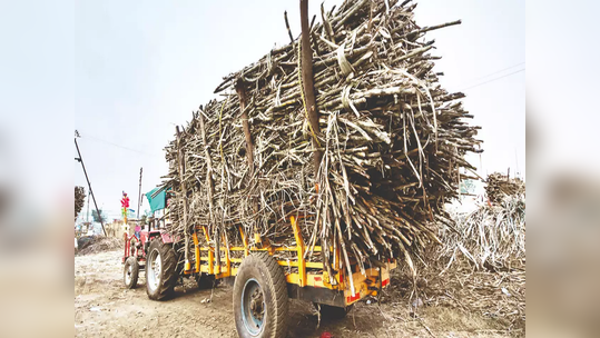 यंदा २७ कारखान्यांत होणार ऊस गाळप; अडीच हजार उचल देण्याची मागणी