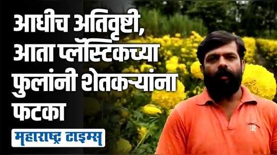 बंदी असूनही बाजारात प्लॅस्टिक झेंडूची फुलं; शेतकऱ्यांच्या फुलांना कवडीमोल भाव