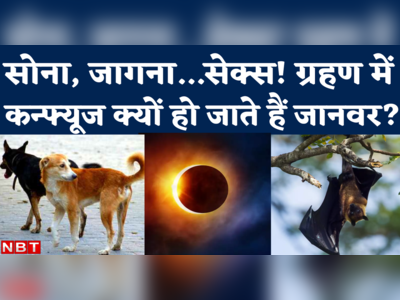 Surya Grahan 2022: सोने, जागने से लेकर सेक्स तक...ग्रहण के दौरान आखिर क्यों बदल जाता है जानवरों का बर्ताव? 