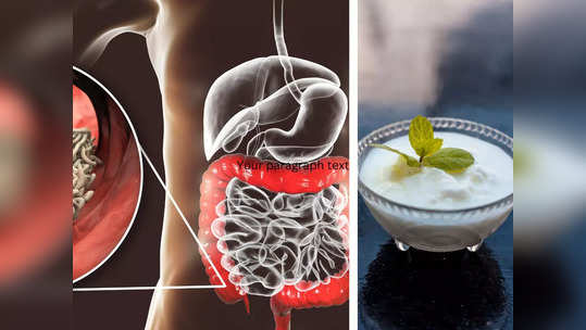 Colon Cleansing Food : आतडे आणि पोटातील विषारी घाण एका झटक्यात बाहेर काढतील ७ गोष्टी, फक्त तुम्ही नित्यनियमाने करा