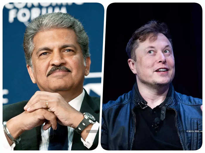 elon musk vs anand mahindra