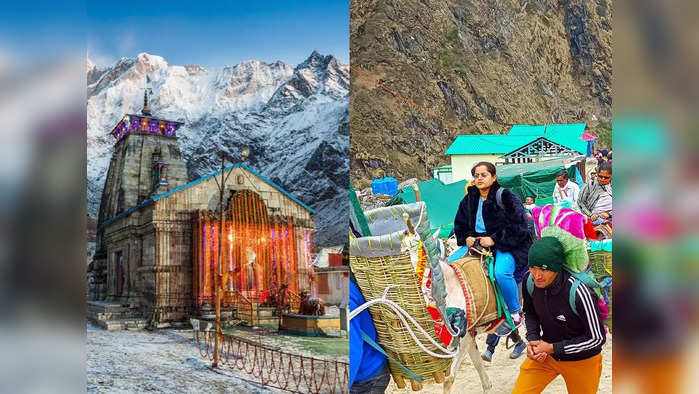 Kedarnath Char Dham Yatra: केदारनाथ यात्रेत घोडे-खेचर मालकांचा १०० कोटींहून अधिक व्यवसाय, चारधाम यात्रेने मोडले अनेक रेकॉर्ड