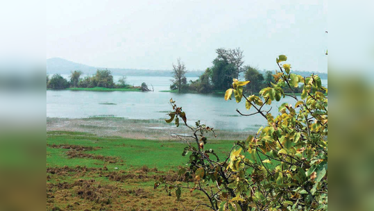 इरईचा नैसर्गिक प्रवाहच थांबला; निधीअभावी नदीची स्वच्छता मोहीम रखडली