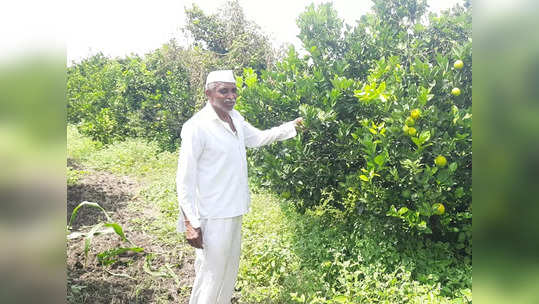 पुंजाराम थोटे करतात तरी काय...; वयाच्या पासष्टव्या वर्षी २० लाखाचे उत्पन्न