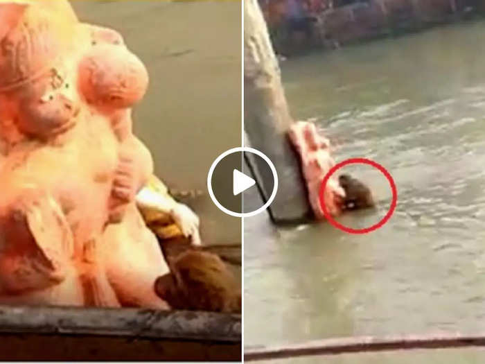 viral video hanuman ji became support of drowning monkey in ghaziabad up