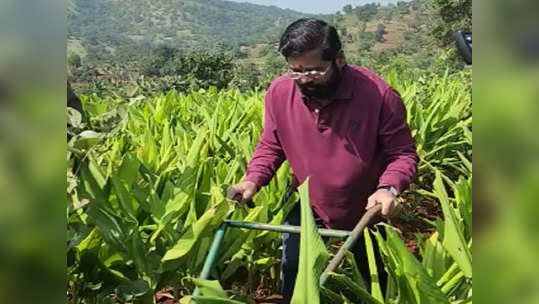 साताऱ्याचा सुपुत्र गावातील शेतात रमला! मुख्यमंत्री शिंदेंनी स्वत: केली शेतीची मशागत