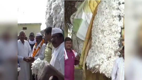 विदर्भाच्या कापूस पंढरीत लिलावाला दणक्यात सुरुवात, बळीराजाच्या पांढऱ्या सोन्याला उच्चांकी दर