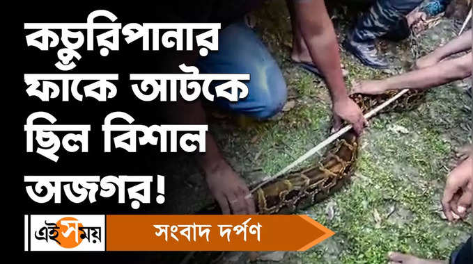 Python Rescue : কোচবিহারে উদ্ধার ১৫ ফুটের লম্বা অজগর