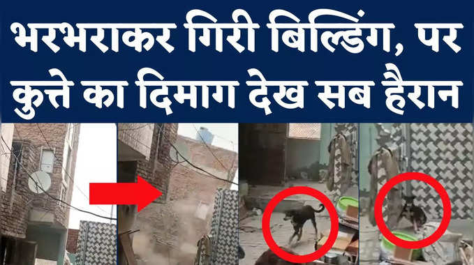 Ghaziabad Building Collapse: गिरने वाली थी बिल्डिंग, पर कुत्ते की इस हरकत ने सबको हैरान कर दिया!