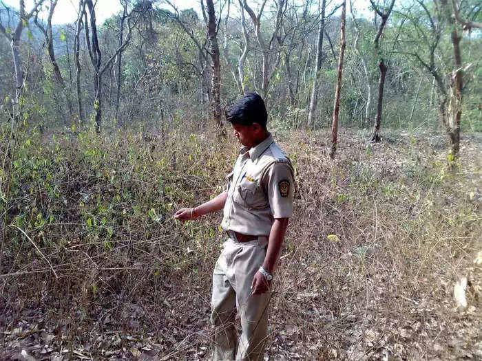 rajasthan forest guard