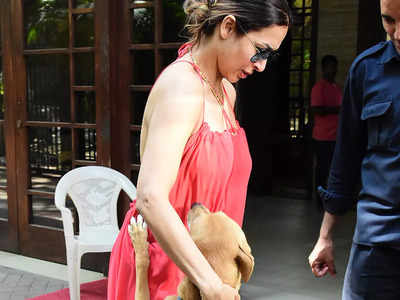 Malaika Arora With Dog: मलाइका अरोड़ा को देखते ही उनसे बच्चे की तरह लिपट गया डॉगी, सामने आई ये क्यूट तस्वीरें 