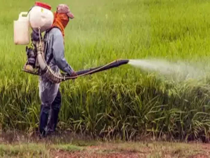 The farmers of UP are number one in cultivating in the modern way (File Photo)