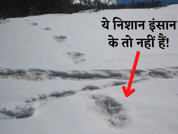 yeti footprints