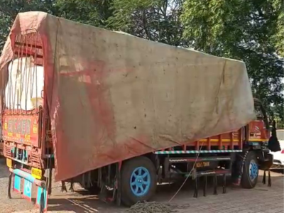 खाण्याच्या वेफर्सचा ट्रक उघडताच पोलीस चक्रावले, मध्यप्रदेशातून महाराष्ट्रात आलेल्या वाहनाने खळबळ