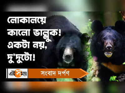 Bear Attack : লোকালয়ে কালো ভাল্লুক! আতঙ্কে এলাকাবাসী