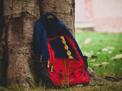 ₹ 500 च्या आत मिळत आहेत हे आकर्षक Casual Backpacks, वॉटर रेजिस्टंट पर्याय सुद्धा उपलब्ध