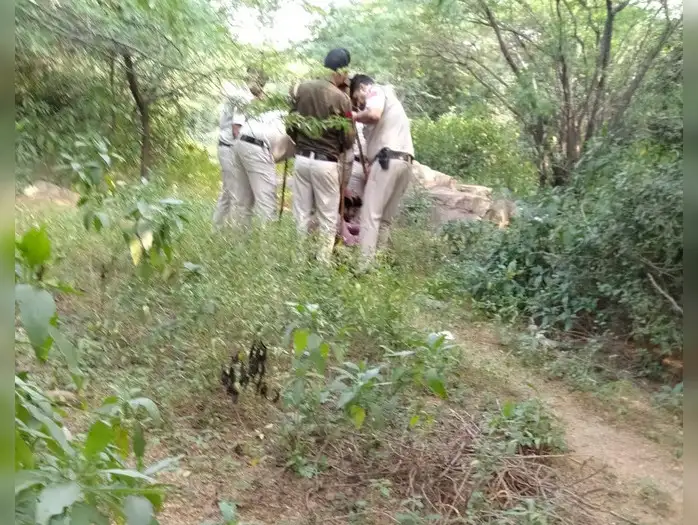 shraddha walkar murder case check all inside details here