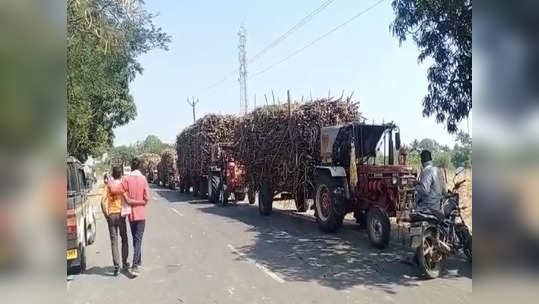 ऊसतोड बंद आंदोलनाची व्याप्ती वाढली, सांगलीत वाहतूक रोखली, नाशिकमध्ये सर्व कारखाने बंद