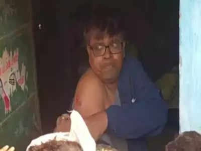 Tiger Enters MP Village: मुरैना के गांव में घुसा टाइगर, पत्रकार पर हमला कर घायल किया, दहशत में ग्रामीण