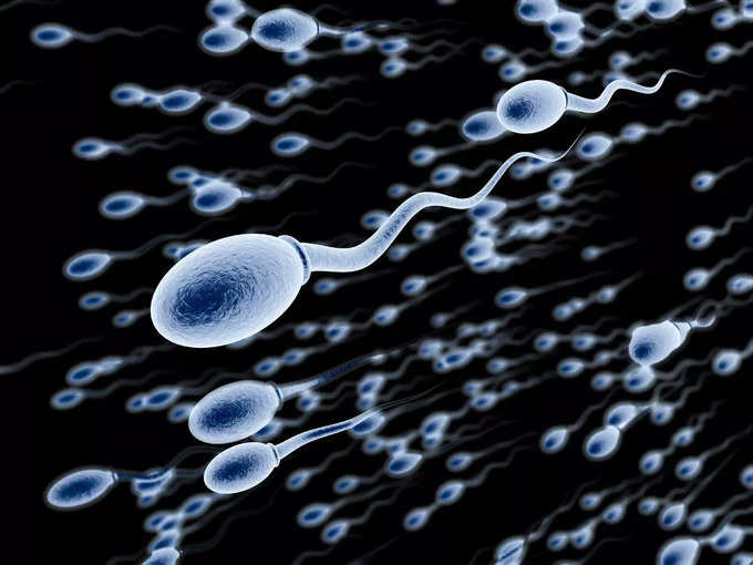 Men's Day: बाल झड़ना-परफॉर्मेंस में कमी दिखे, तो पुरुषों पर आ गई बड़ी आफत, खाने से निकाल दें ये चीज - international mens day 2022 avoid soya products to increase sperm production and eat sperm boosting foods