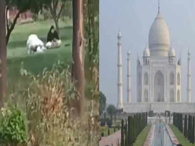 ताजमहल में फिर पढ़ी नमाज! पर्यटक का वीडियो वायरल होने से मची खलबली, जांच में जुटी ASI और CISF 