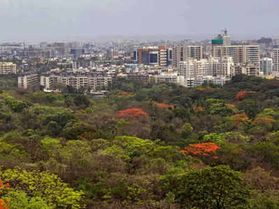 मेट्रो प्रॉजेक्ट के लिए मुंबई के आरे में पेड़ काटने की अनुमति मिलेगी या नहीं? सुप्रीम कोर्ट में आज सुनवाई 