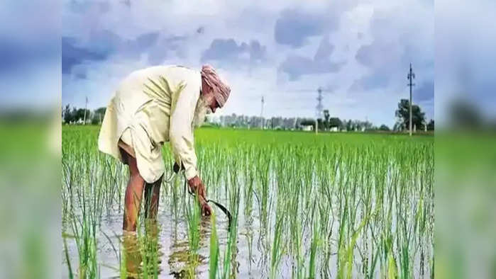 West Bengal Govt. Farmers Scheme : প্রতীকী ছবি