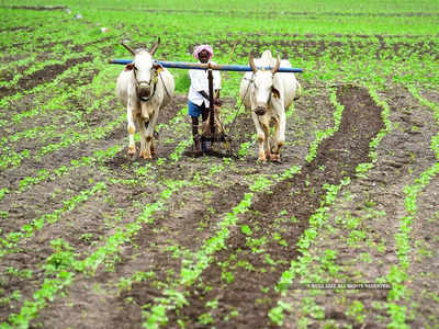 ₹1, ₹14 और ₹37... पीएम फसल बीमा में मुआवजे के महामजाक से किसान भी हैरान