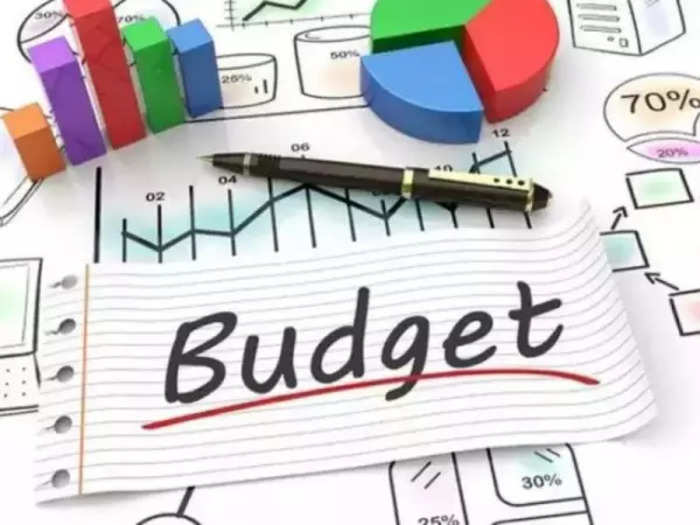 how indian budget prepare what is its purpose know the important information know in marathi