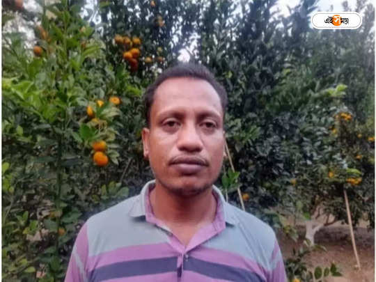 Bangladesh News : ইউটিউব দেখে কমলালেবু চাষ শুরু, আড়াই বছরেই তাক লাগালেন আলমগীর 