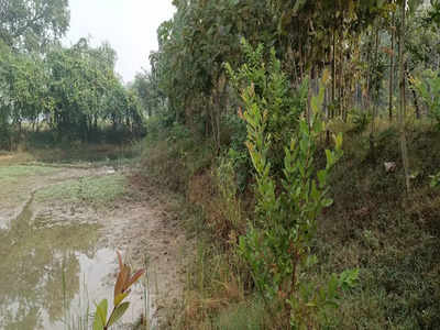 बूंद-बूंद पानी बचाकर कृषि क्रांति ला रहा है बुंदेलखंड का यह गांव, मोदी भी कर चुके हैं तारीफ