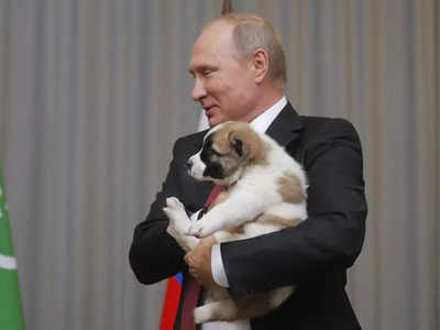 Vladimir Putin: हिरण के खून से नहा रहे पुतिन, कुत्तों की दी जा रही बलि... रूसी पत्रकार का सनसनीखेज दावा