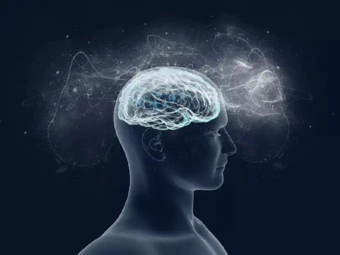 Fennel milk lights up the brain, get benefits by making it in 5 minutes