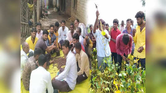 गटशेतीचं फॅड सोडा,घरच्यांचं बोलणं ऐकलं पण एकरात लाखोंचं उत्पन्न घेतलं; हिंगोलीच्या तरुणांची सक्सेस स्टोरी