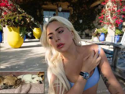 Lady Gaga Dog Walker Case: लेडी गागा के डॉग वॉकर पर गोली चलाने वाले को 21 साल की जेल, 2 कुत्तों की हुई थी चोरी