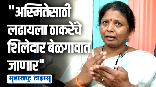 राजकीय अस्थिरता निर्माण करून महाराष्ट्रातून उद्योग पळवण्याचा भाजपचा प्रयत्न, सुषमा अंधारेंचा आरोप