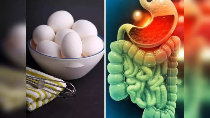 Foods Bad for Intestines:आतड्यांना आतून खराब करतात हे  पदार्थ या 'साइलेंट किलर' पासून लांबच राहा