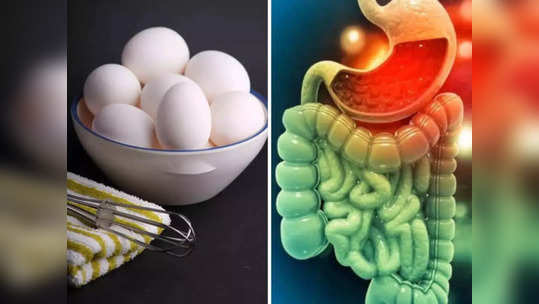 Foods Bad for Intestines:आतड्यांना आतून खराब करतात हे  पदार्थ या 'साइलेंट किलर' पासून लांबच राहा