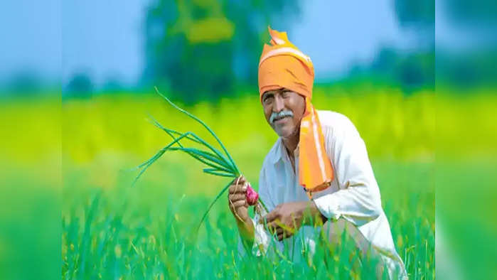 pm kisan