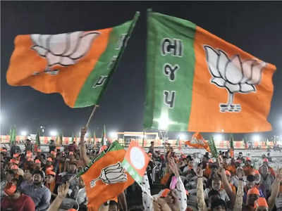 Gujarat Election Result: ગુજરાતના આ 17 જિલ્લાઓની તમામ બેઠક પર ભાજપની જીત