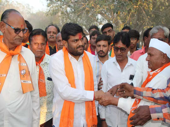 Gujarat Election BJP : পতিদারদের পাশে পাওয়াতেই ফের গুজরাটে রেকর্ড জয় BJP-র