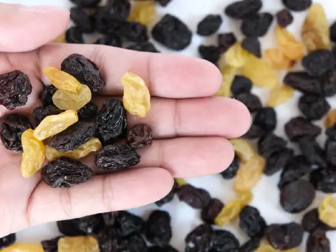 Green raisins are destroyer of LDL, boon for men and women PressWire18