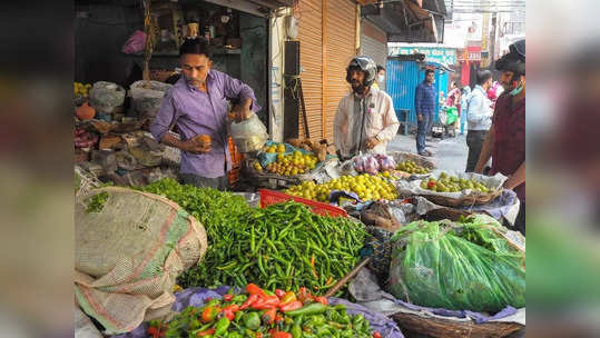 सर्वसामान्यांना मोठा दिलासा; भाजीपाल्याचे भाव इतक्या रुपयांनी घसरले