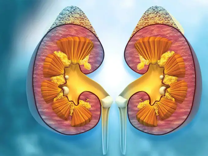 Life can be cut even with the help of one kidney, do these 6 things to
