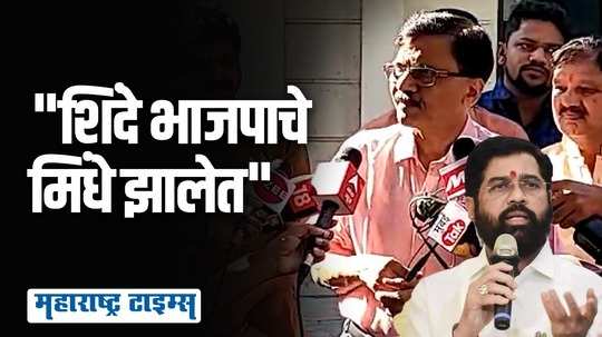 शिंदे भाजपाचे मिंधे झालेत | Sanjay Raut | Maharashtar Times