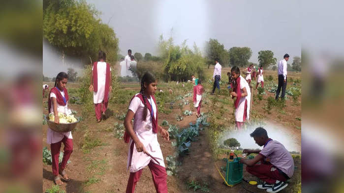 धुळे शहरातील सेंद्रीय शेतीचे धडे देणाऱ्या शाळेची गोष्ट