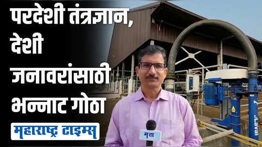 नेदरलँड आणि इस्रायलचं भन्नाट तंत्रज्ञान वापरलं, बारामतीत उभारला अफलातून गोठा