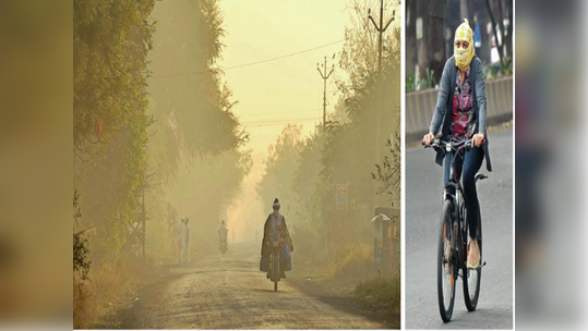 शीतलहरींमुळे थंडीची लाट; कमाल तापमानात घसरण, किमान तापमानही १३ अंशांवर