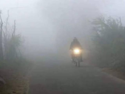 Weather Alert: महाराष्ट्रात पुढचे २ दिवस थंडीचे, पुण्यासह या जिल्ह्यांमध्ये हाडं गोठणार... 